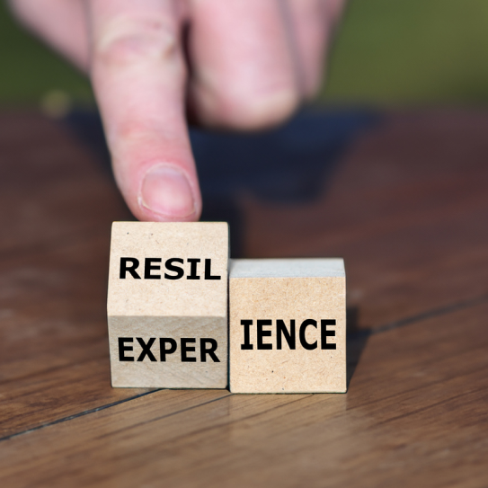 wooden blocks showing the words Experience and Resilience wooden blocks showing the words Experience and Resilience